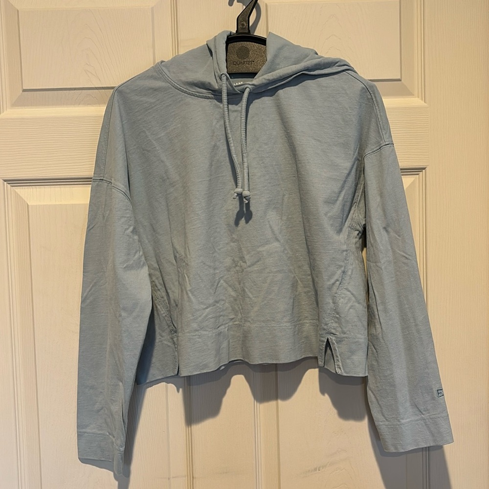 Everlane Crop Top Hoodie